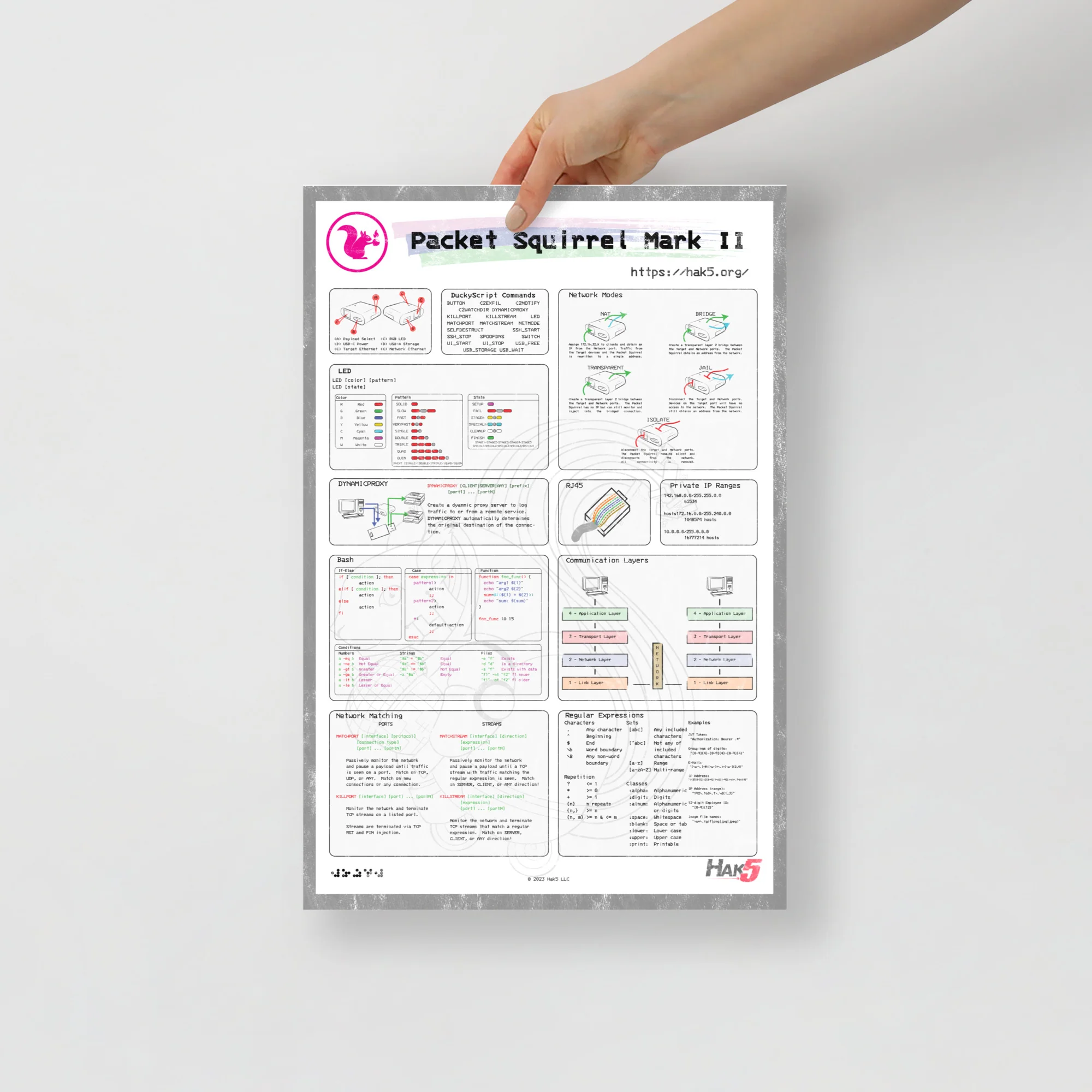 Packet Squirrel Infographic Poster